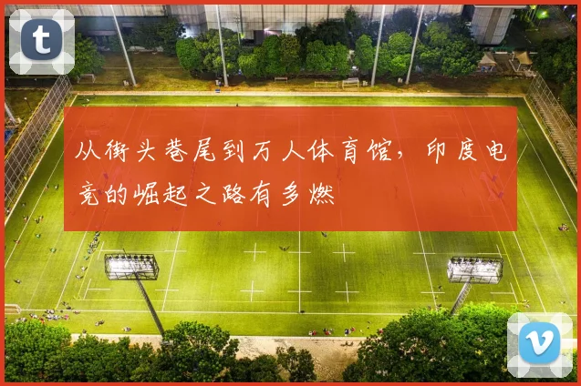 从街头巷尾到万人体育馆，印度电竞的崛起之路有多燃